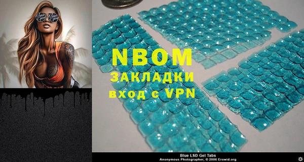 хмурый Алзамай